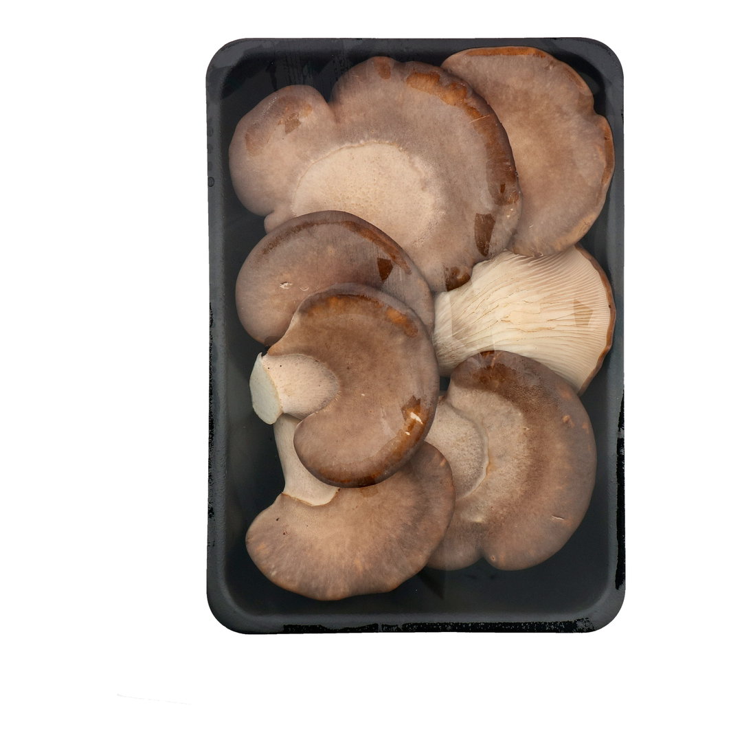 SG Fresh Abalone Mushroom 鮑魚菇