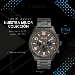 FOSSIL BQ2533