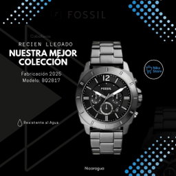FOSSIL BQ2817