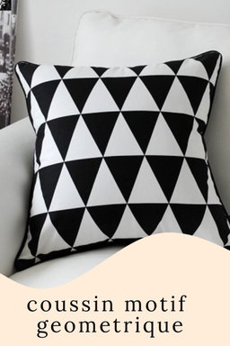 Coussins décoratifs