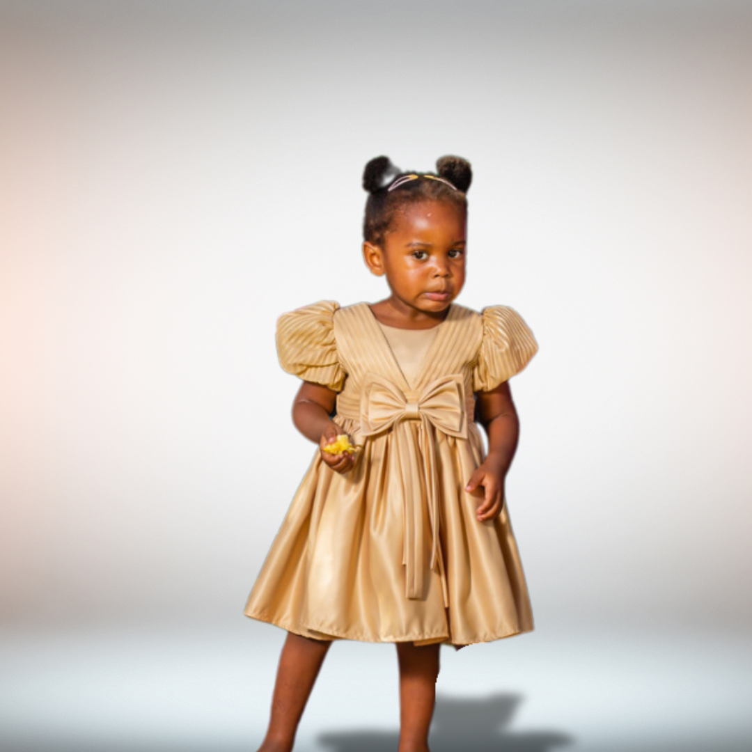 Kids Puff Sleeve Fit & Flare Dress_0