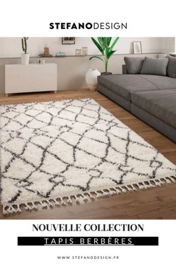 Tapis modernes