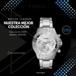 FOSSIL BQ2490)