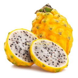 Ecuador Fruits