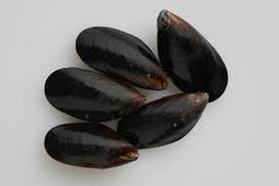 Black Mussel (1kg / pkt)