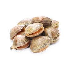 Asari Clam 31/40 (ctn)