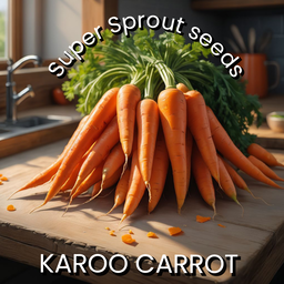 🥕CHANTENAY KAROO CARROTS 🥕 x 100+ seeds