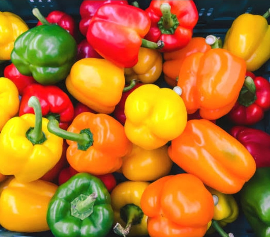 Bellpepper_1