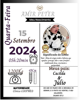  Design Boletim de Nascimento