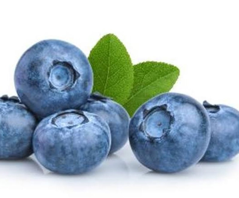 Blueberry _1