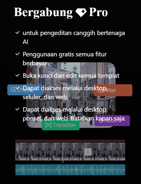 CAPCUT PRO PRIVATE_3