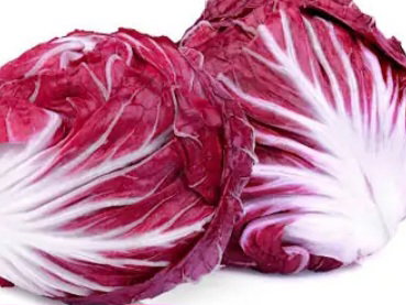 Radicchio _0