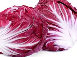 Radicchio 