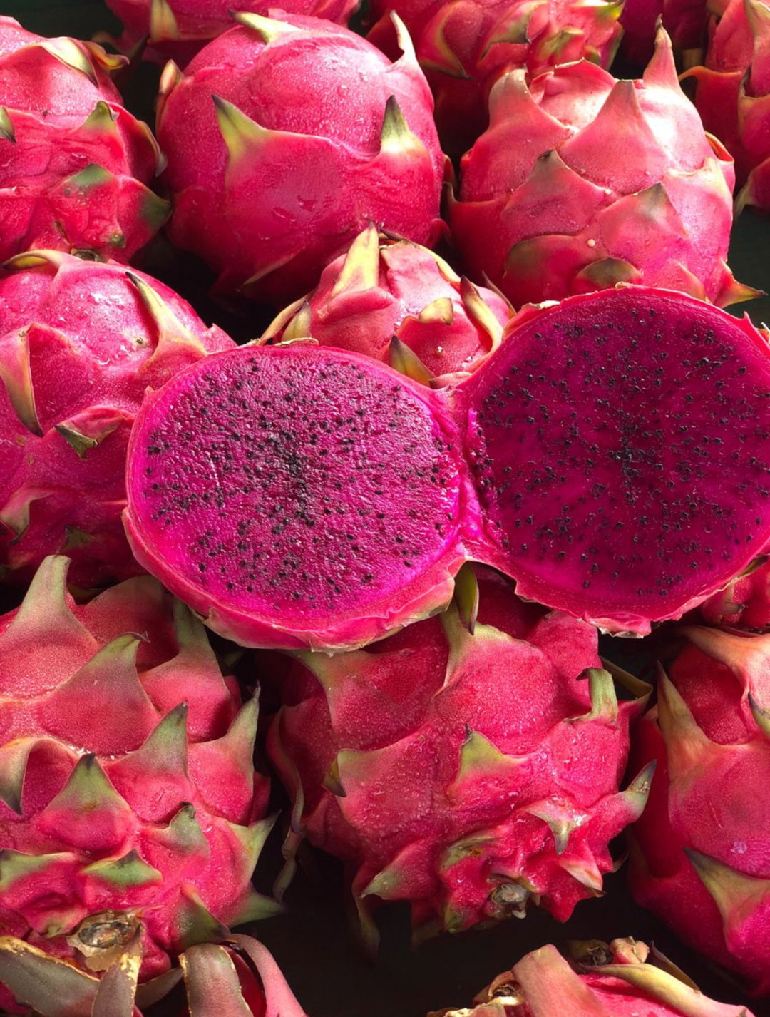 Pitahaya | Pink Dragonfruit
