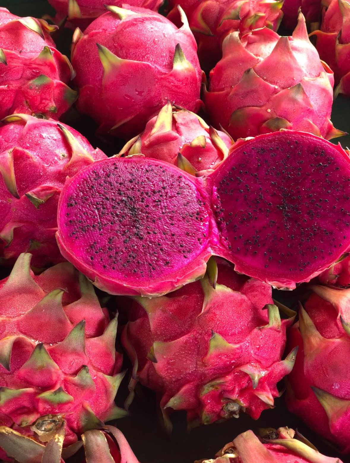 Pitahaya | Pink Dragonfruit_0