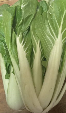 Bok choy