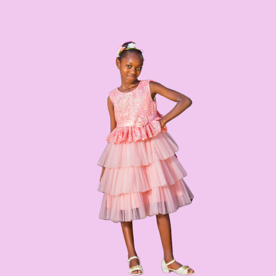 Nabotique Peach-Coloured & Salmon Rose Layered Net Dress