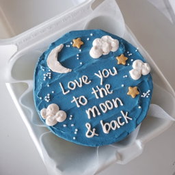 4 inch Bento Cakes 