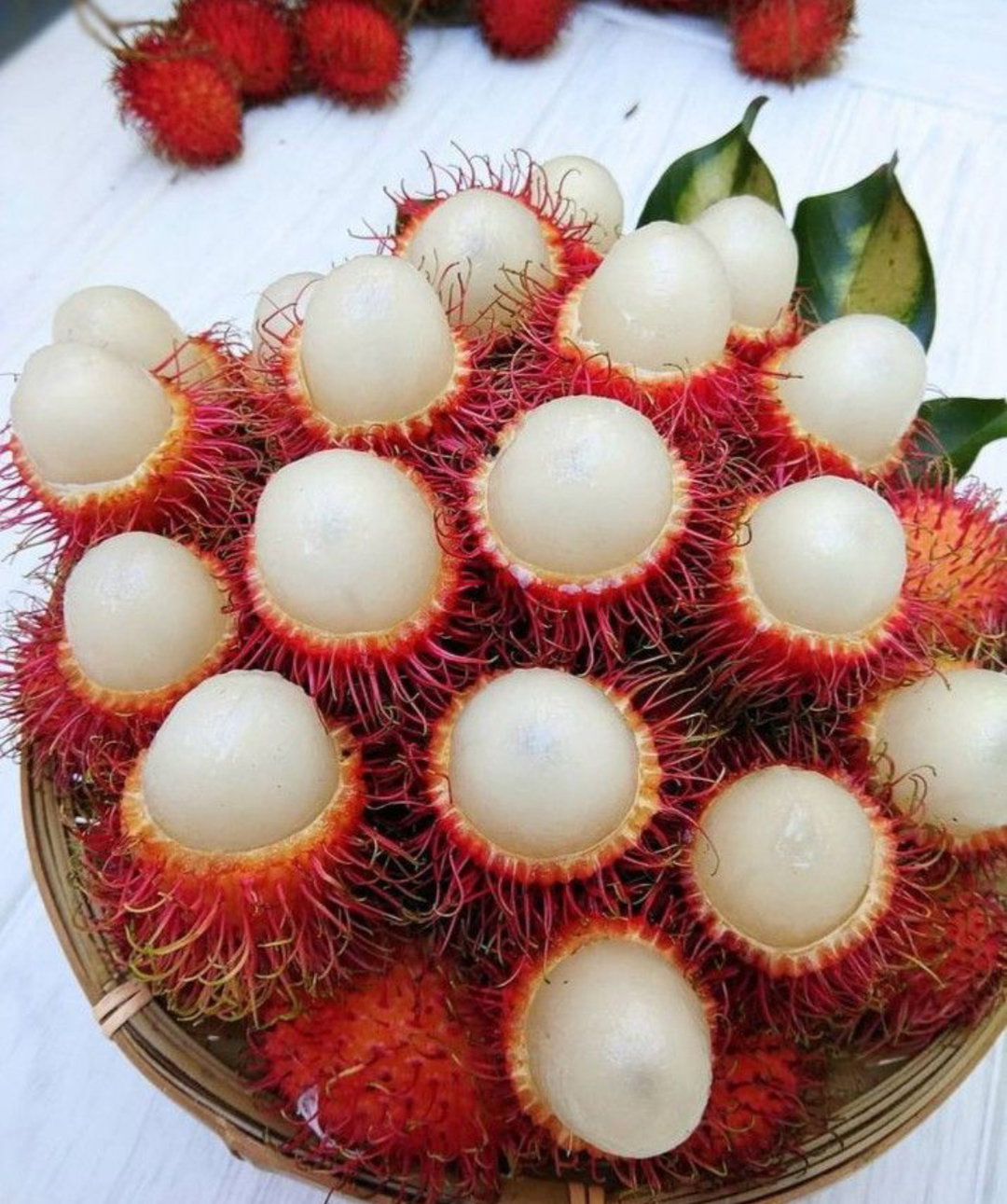 MamĂłn Chino