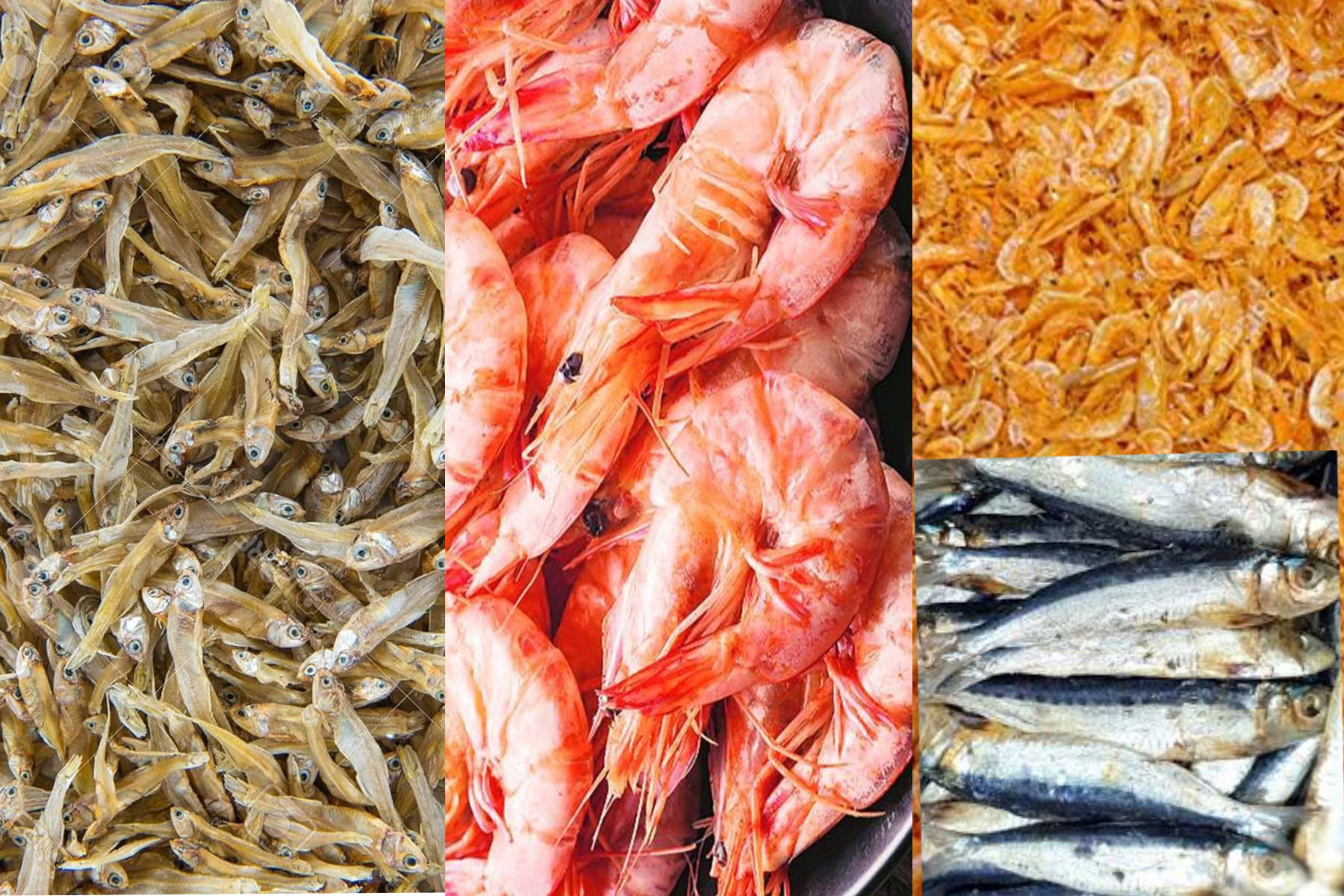 Sparts /Dried Prawns /Kunissa/Keeramin_0