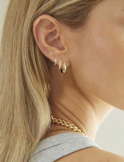 Hermi Earing (2 Oreilles )