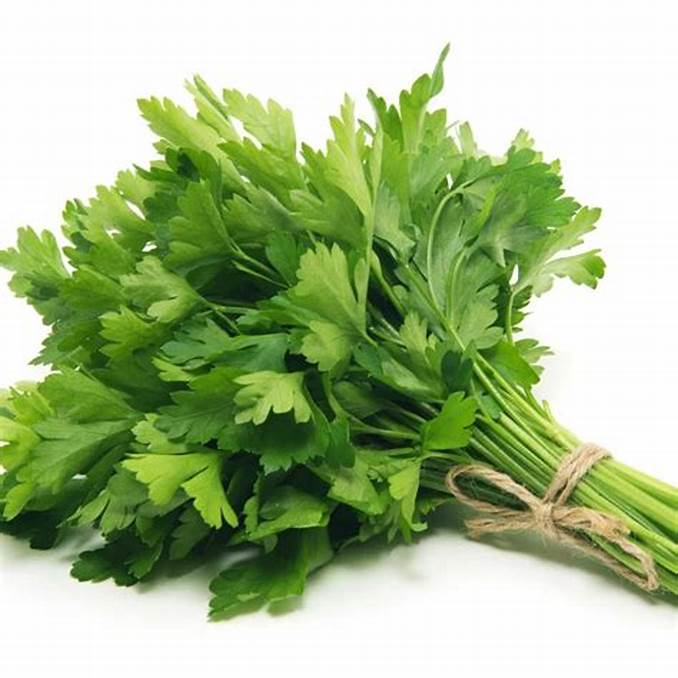 Persil / Parsley