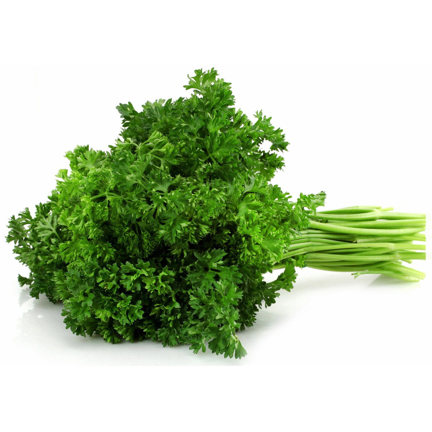 Persil / Parsley _1
