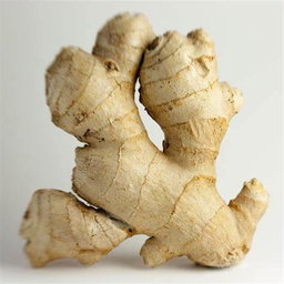 Gingembre / Ginger