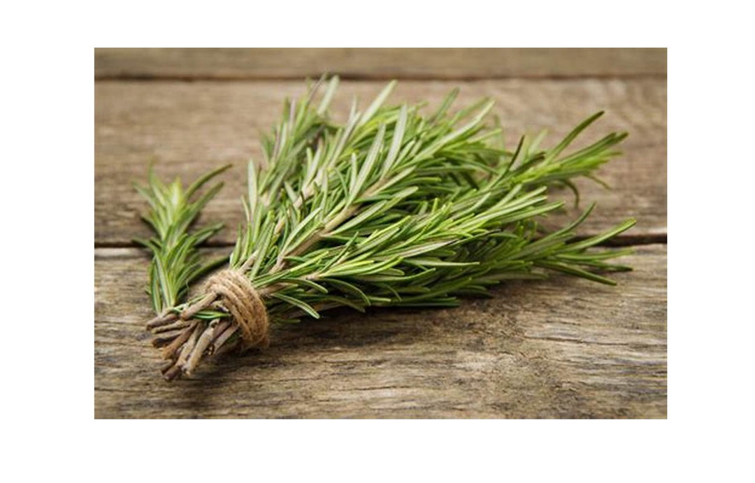 Romarin / Rosemary