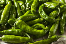 Vegetable
