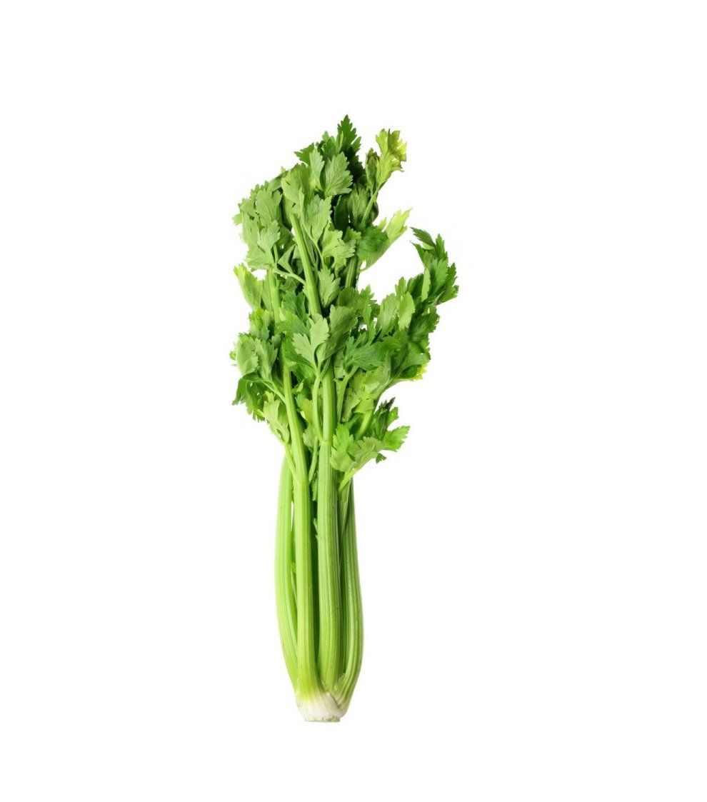 Céleri / Celery_0