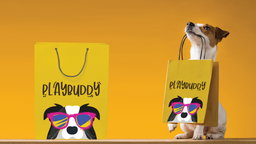 PlayBuddy Toys