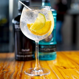 Gin & Tonic Clásico (cítrico)