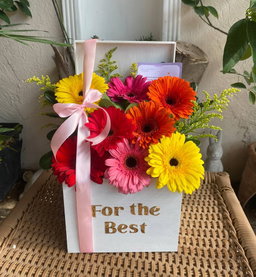 Box de gerberas