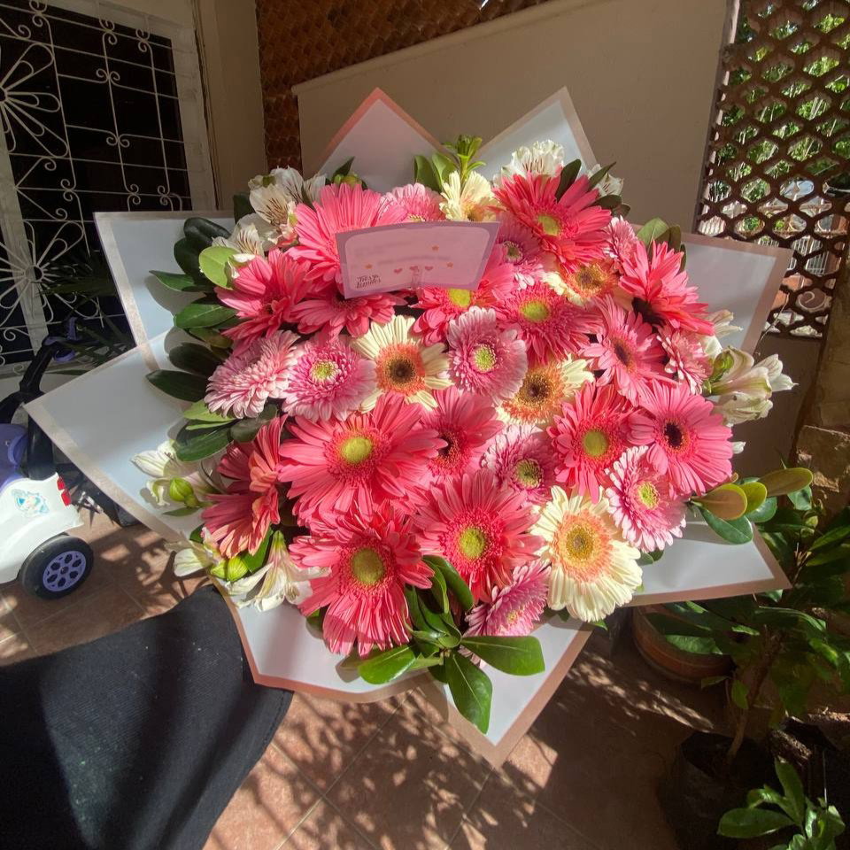 30 gerberas_2