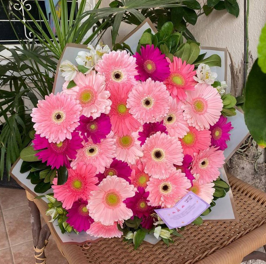 30 gerberas_1