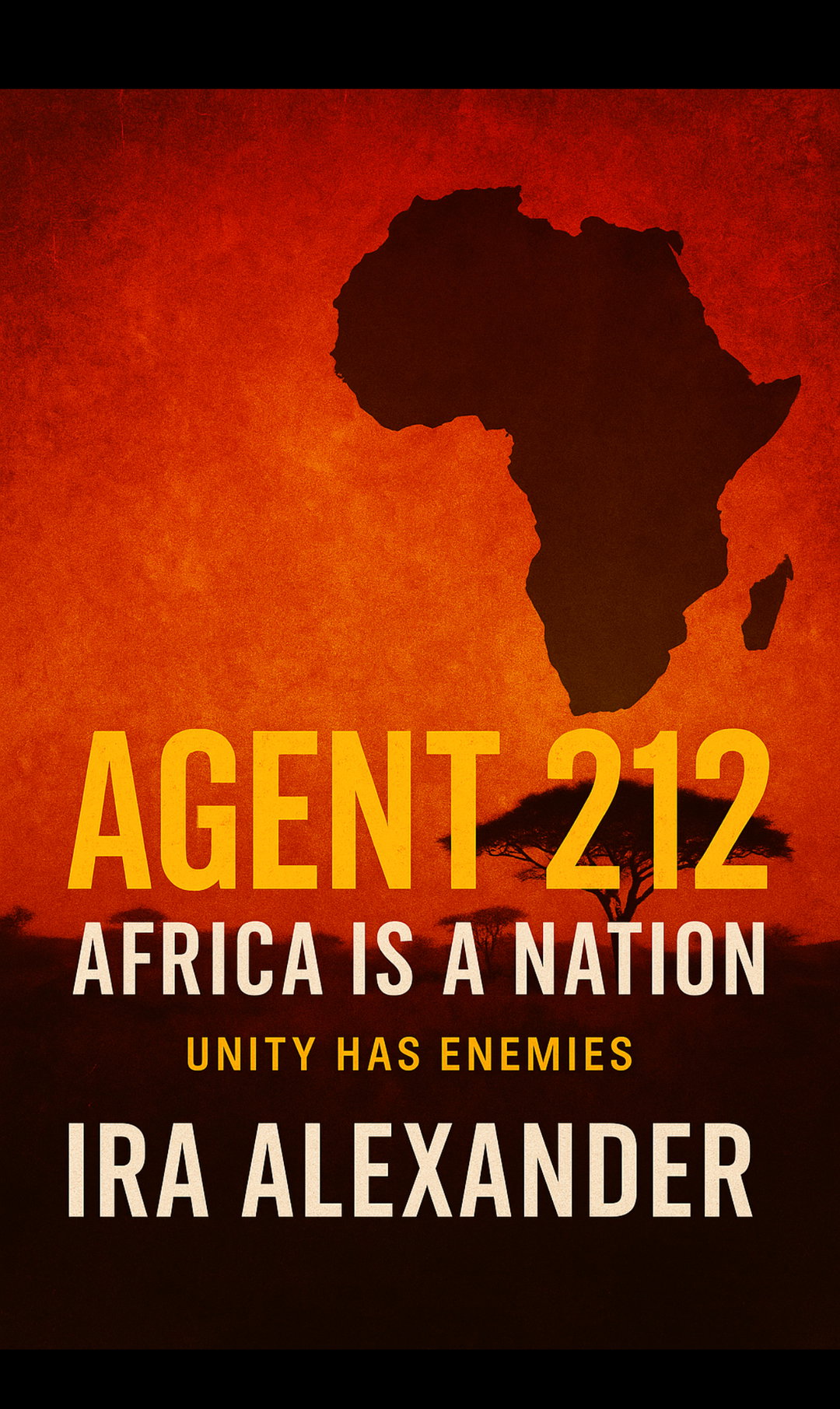 Agent 212: Africa is a Nation
