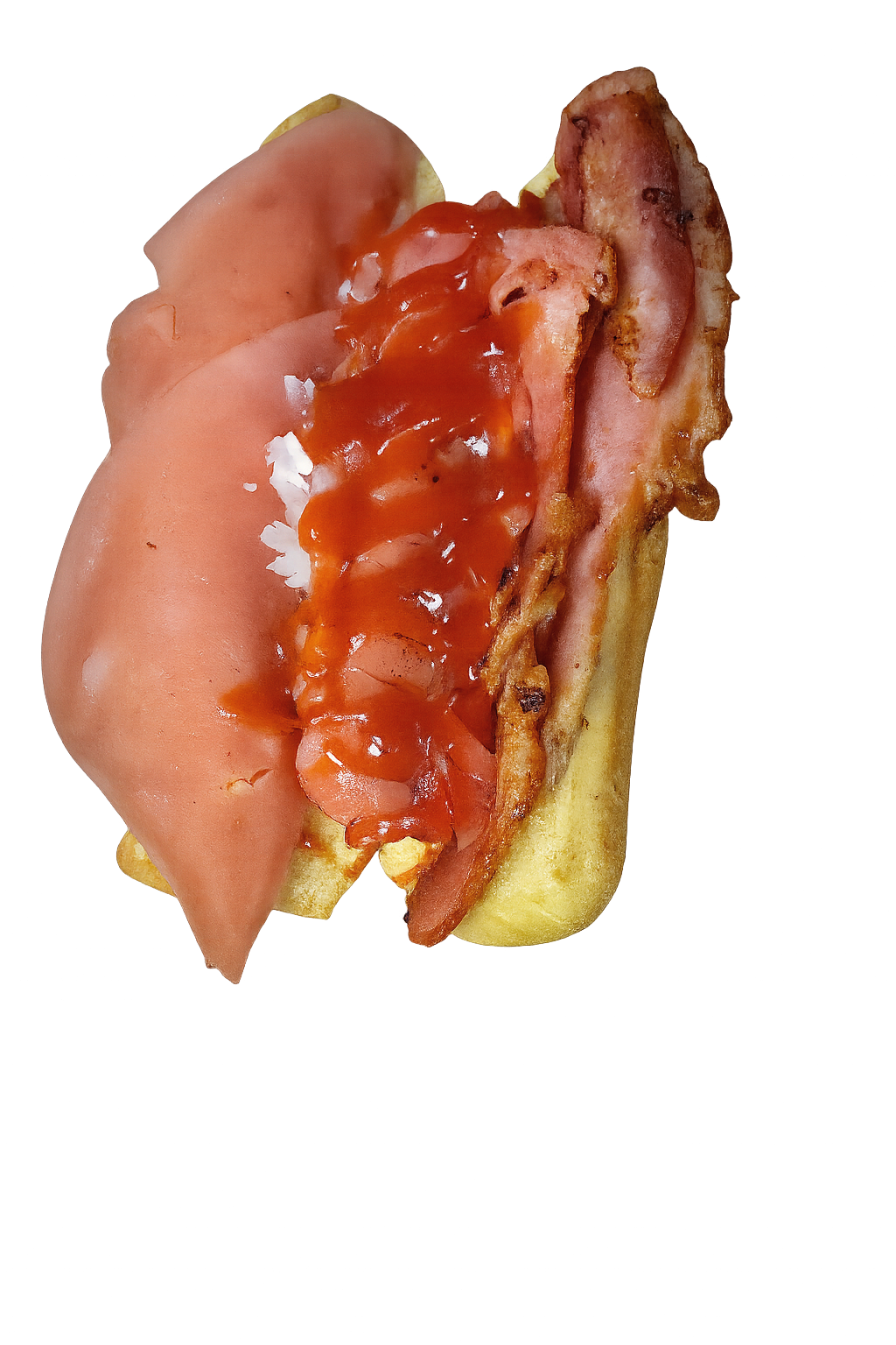 Hot dog especial_1