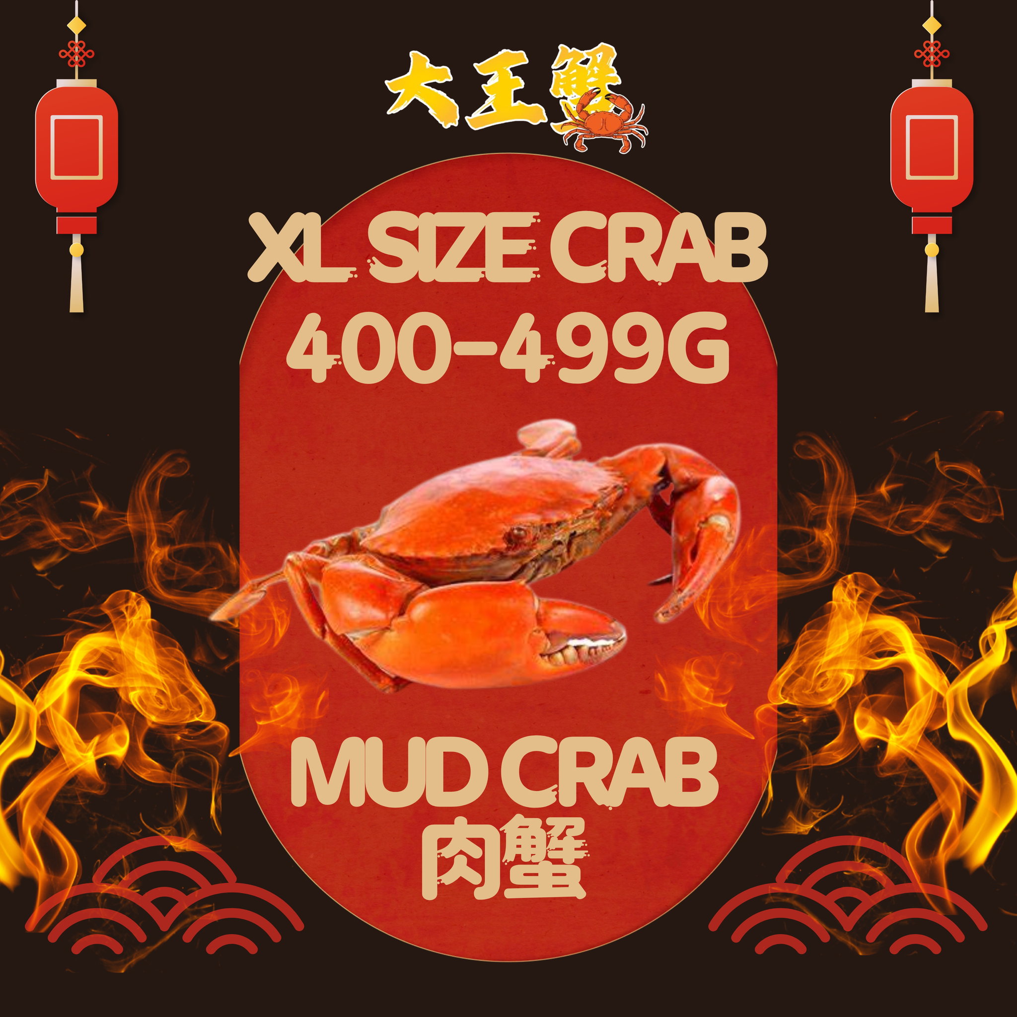 XL SIZE 肉蟹  (400-499G)_0