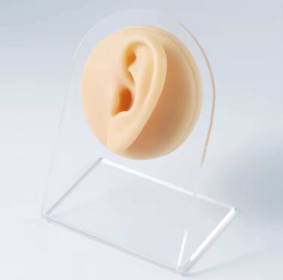 Ear silicone display