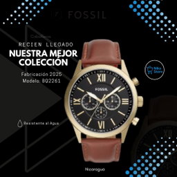 FOSSIL BQ22 61
