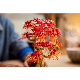 LEGO Japanese Maple Tree Set 10348