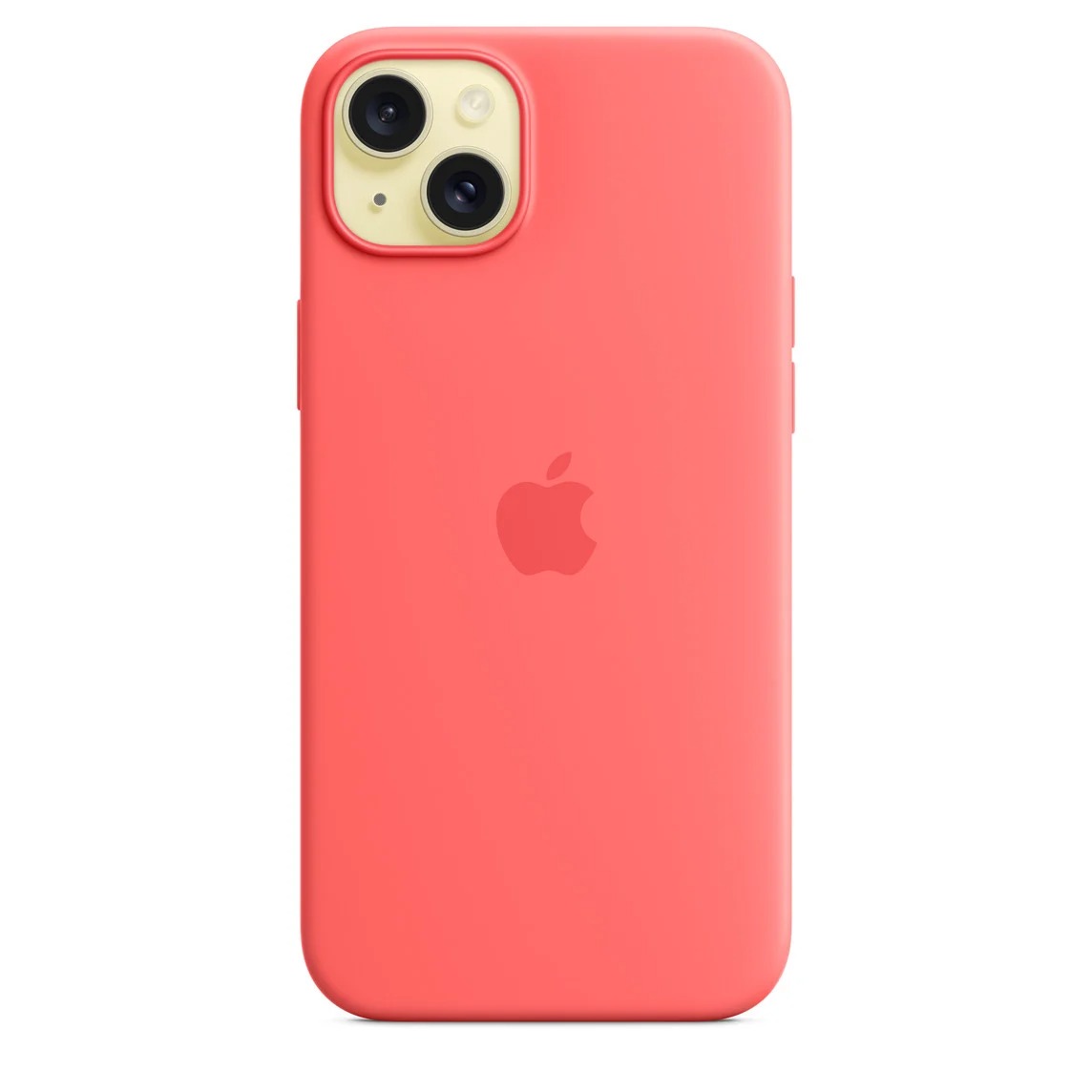 Silcon Case_0