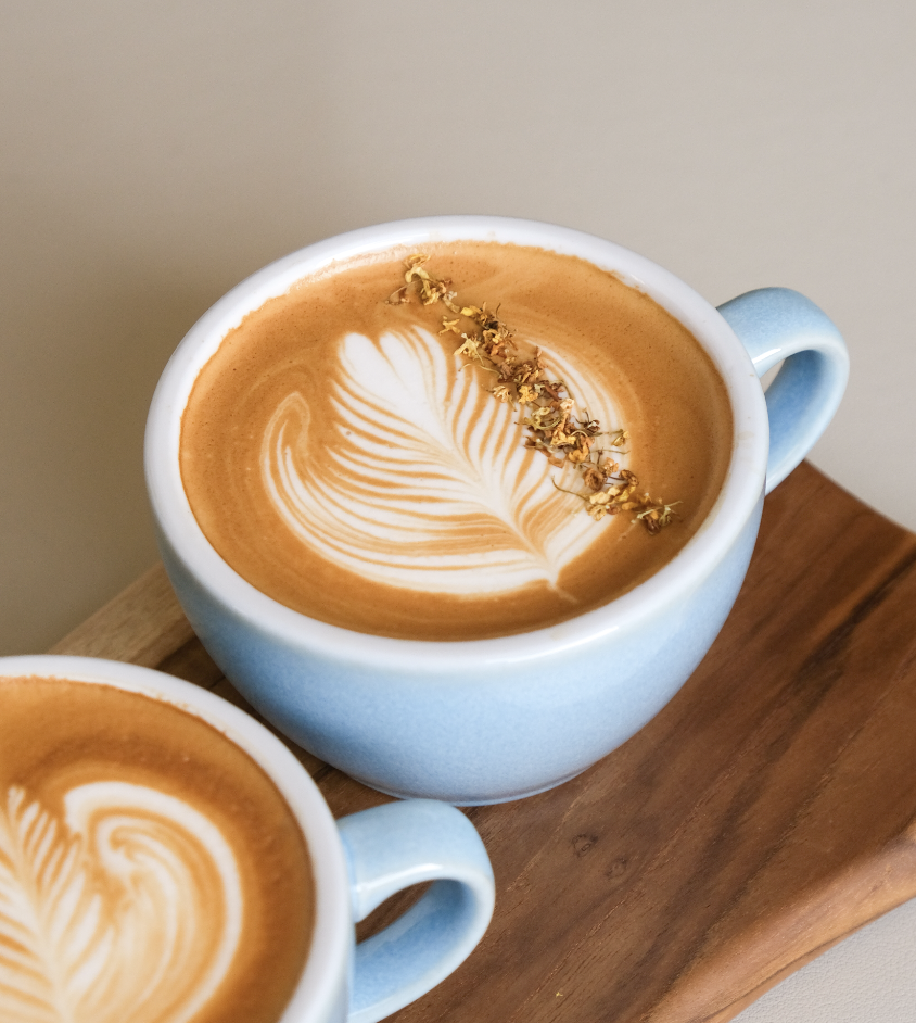 Osmanthus Latte 🌼_0