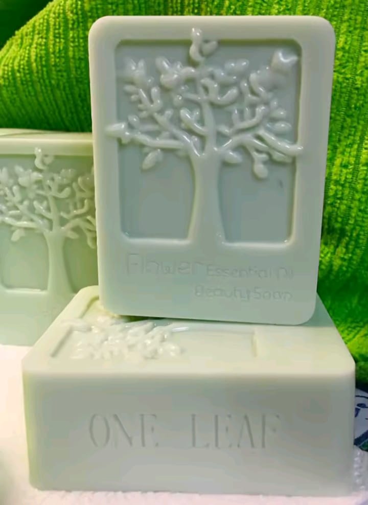 Molde cuadrado arbol al fondo_6
