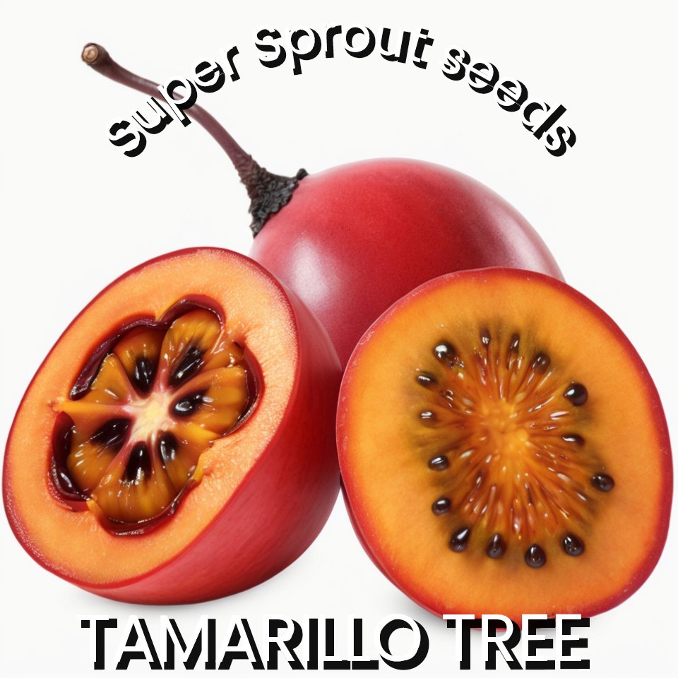 TAMARILLO TREE TOMATO x 10+ seeds_2