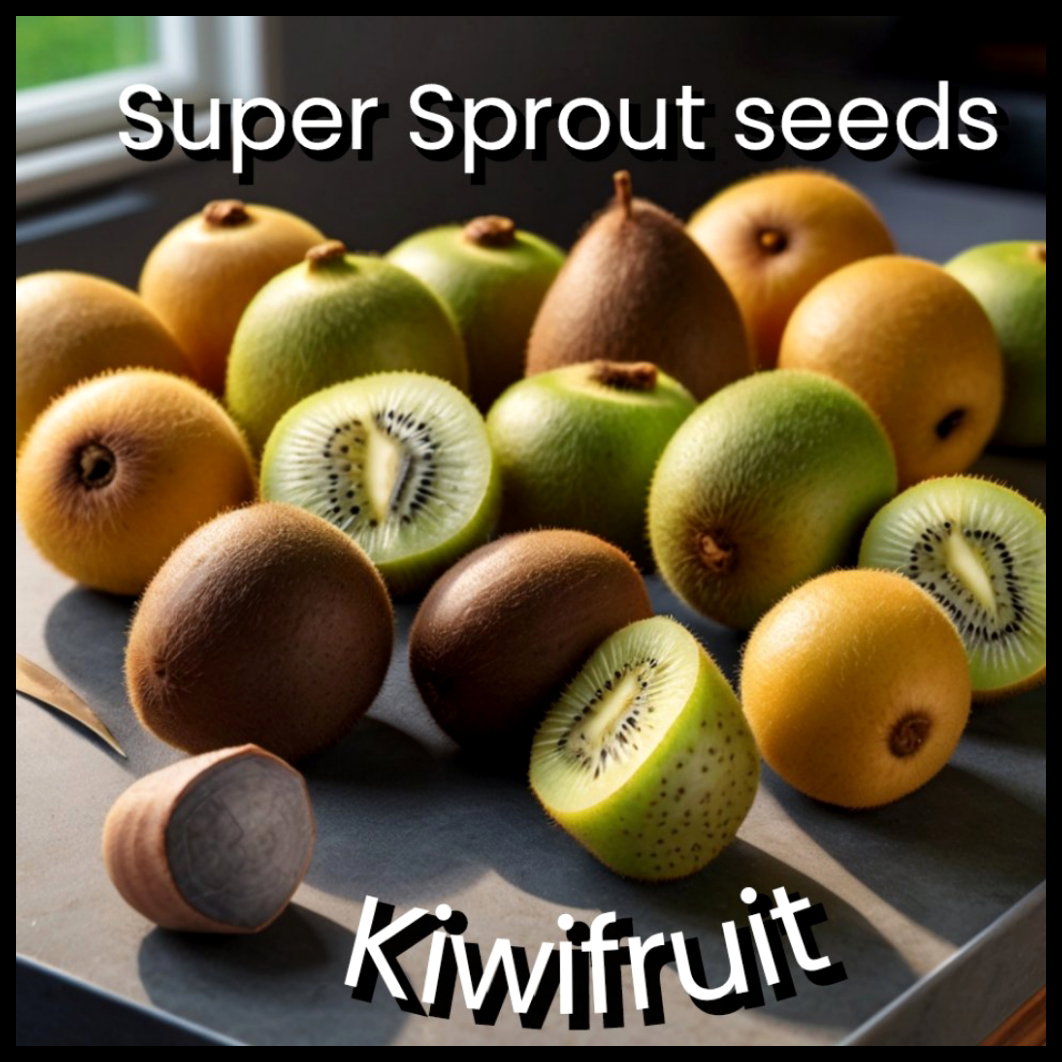 🥝KIWI (Actinidia chinensis)🥝x 25 seeds_1