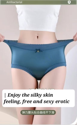 Ladies silk brief panties 