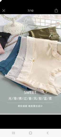 Ladies silk brief panties 