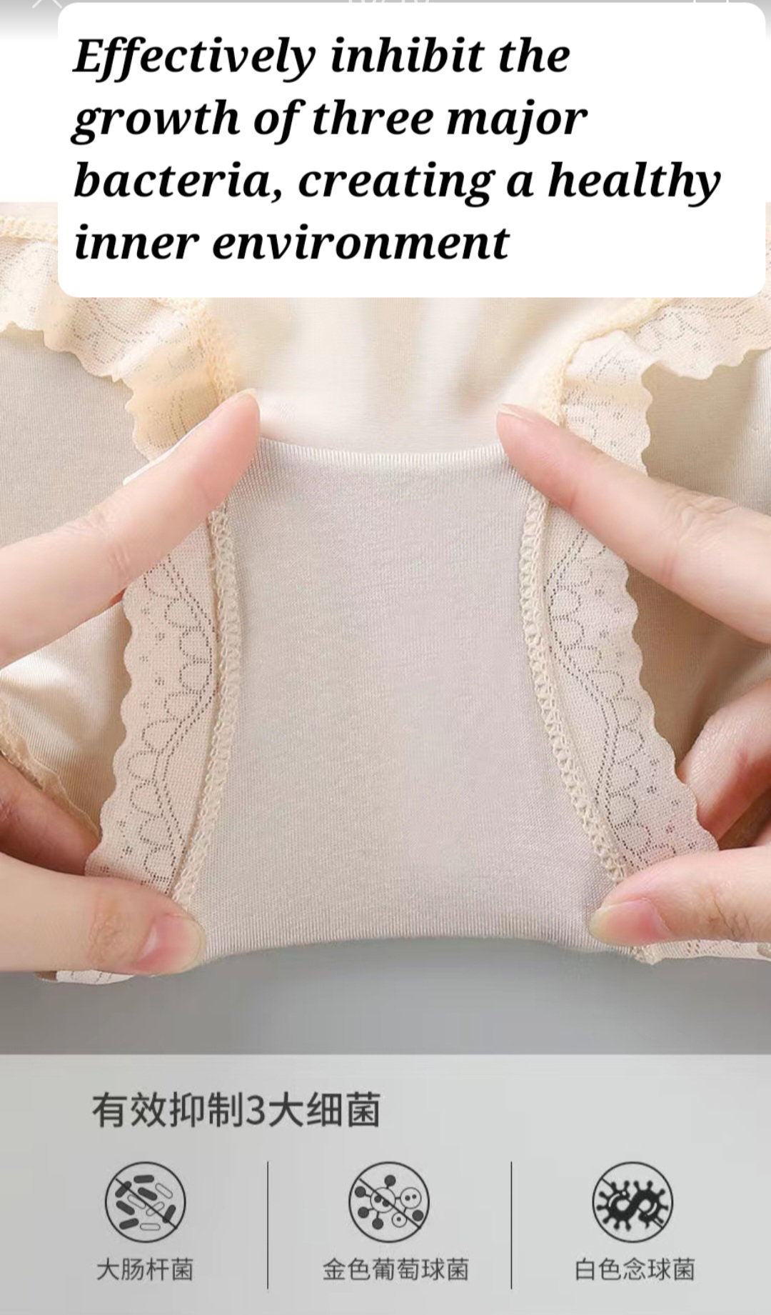 Ladies silk brief panties _1
